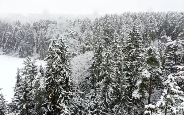 Dübörög a felmelegedés: az idei volt a második legenyhébb tél 1901 óta
