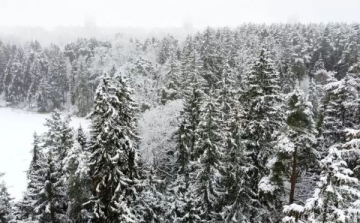 Dübörög a felmelegedés: az idei volt a második legenyhébb tél 1901 óta