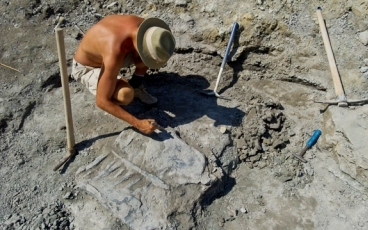 Őslénytani leletek három dimenziós térképe készül az iharkúti ásatások nyomán