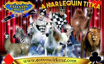 Eötvös cirkusz 2017! – Új Szuper produkció!!