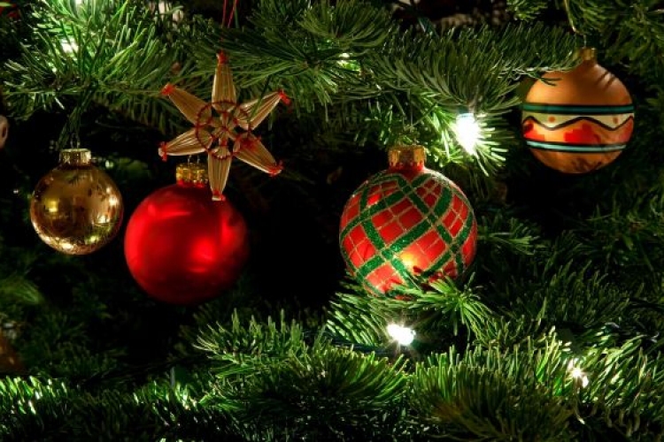 December 5-én felállítják a város karácsonyfáját