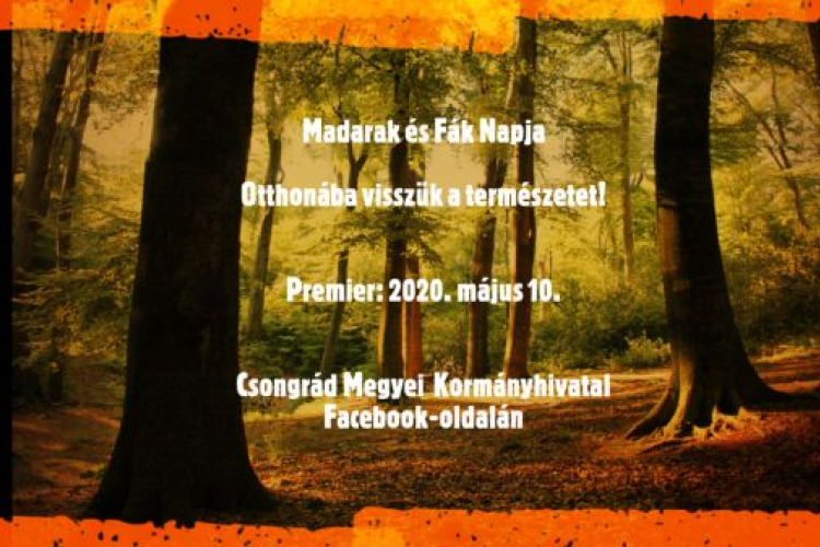 Rendhagyó módon ünnepli a Madarak és Fák napját a Csongrád Megyei Kormányhivatal