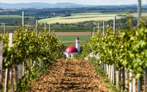 Vonattal a palkonyai Szüreti Nyitott Pincék rendezvényre