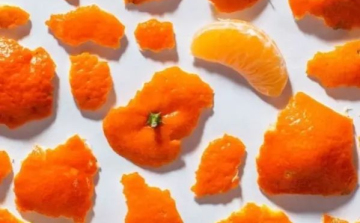 Citromhéj, narancshéj – Tudod, mi mindenre jók?