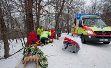 Szánkóbaleset a budai hegyekben