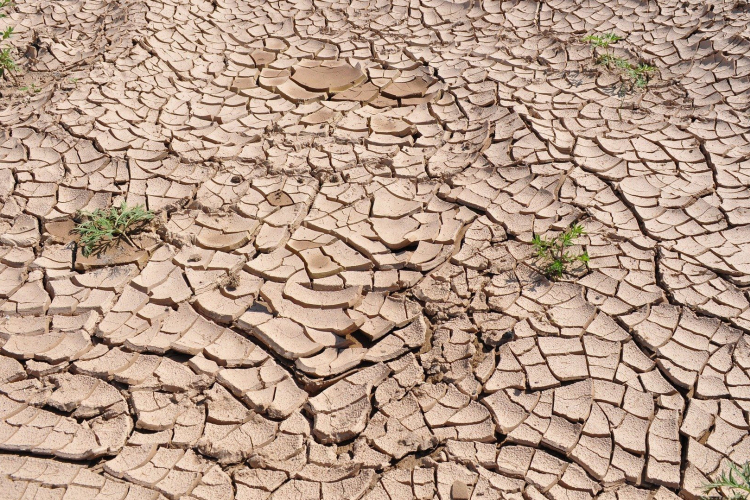 Meteorológia: áprilisban a megszokott mennyiségnek csak az egytizede esett