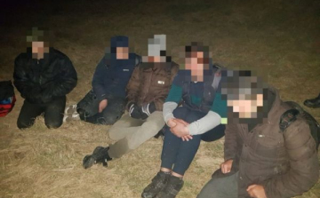 Öt illegális migráns Kiszombornál
