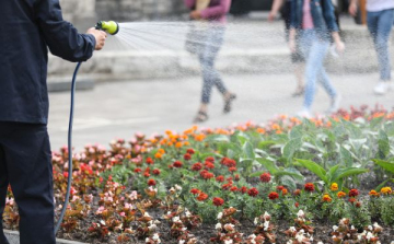 A vasútállomások rendben tartása érdekében állomási gondnoki rendszert állított föl a MÁV