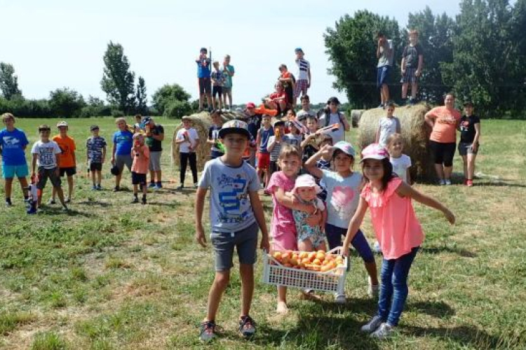 Csodafaluban kalandoztak a táborozó gyerekek