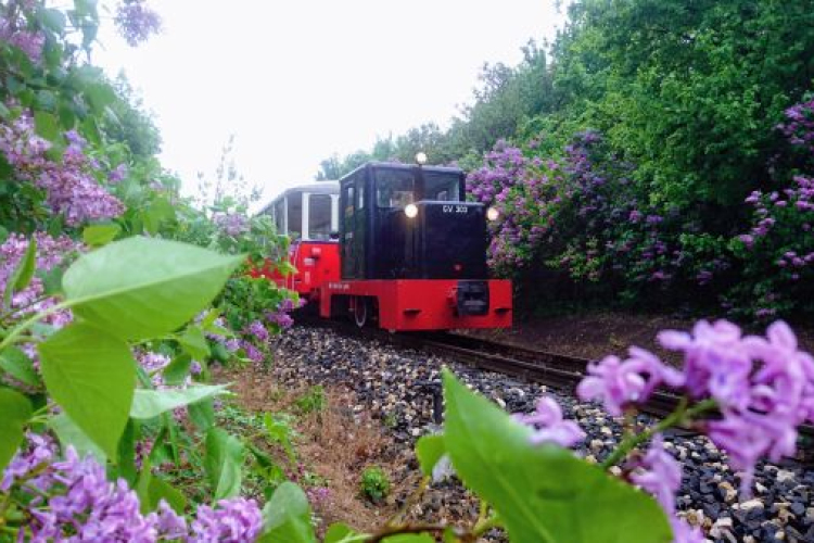 Újraindul a forgalom a Gyermekvasúton