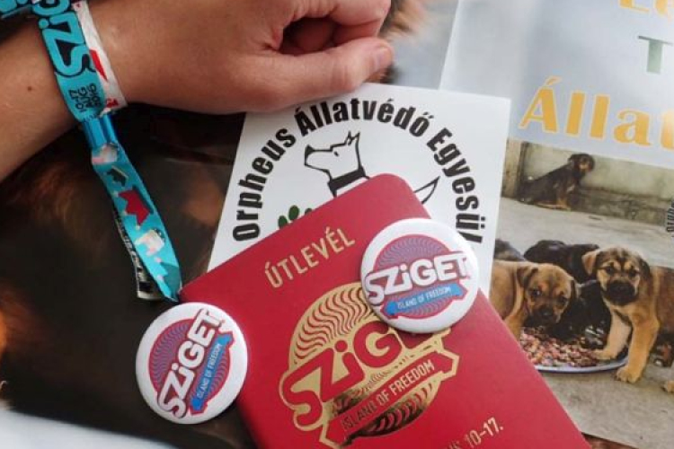 Szigetelnek az Állatvédők
