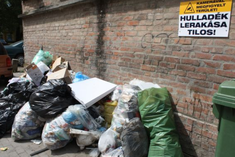 Illegális szemétlerakó lett a Szegfű utca