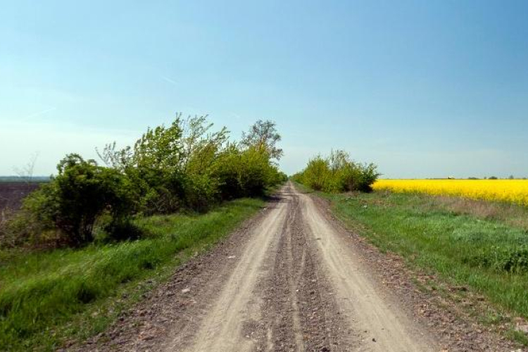 Agrárminisztérium: jövőre is lehet külterületi utak fejlesztésére pályázni