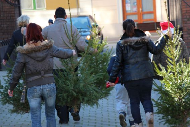 Karácsonyfát kaptak nélkülöző családok