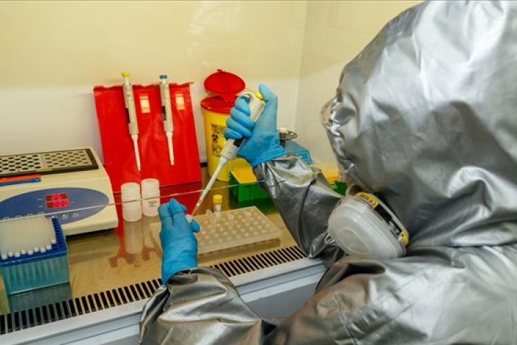 A SARS-COV-2 vírus ellen hatékony, parányi antitestkomponenst találtak amerikai kutatók