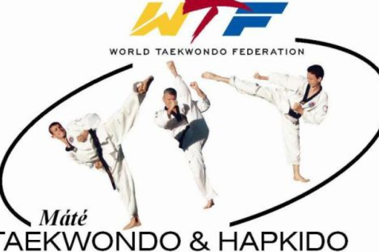 MÁTÉ TAEKWONDO & HAPKIDO KHSE KÖZLEMÉNYE