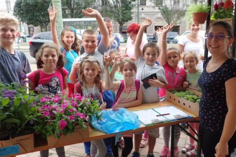 Ezer család kapott cserepes virágot a városszépítési programban