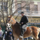 Jelmezes lovas farsangi felvonulás 2017