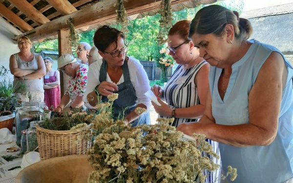 A gyógynövények világában kalandoztak a gasztro-workshop résztvevői