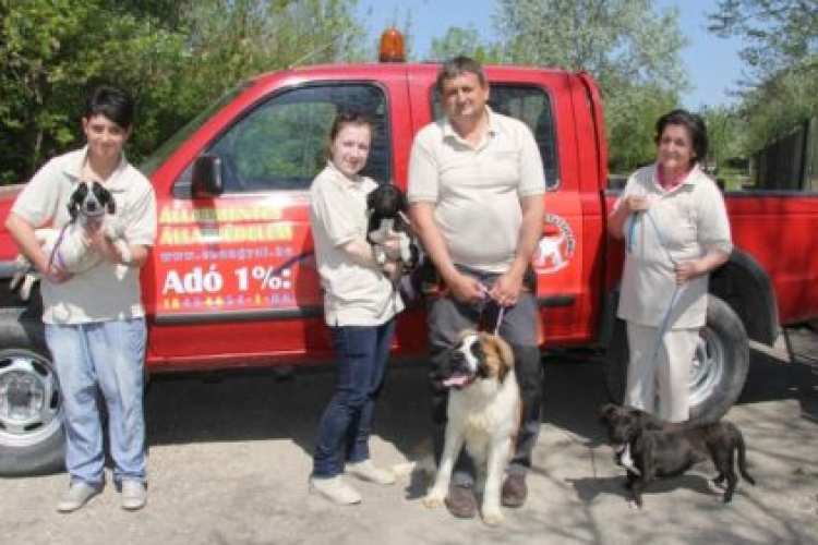 Minden nap van állatkínzás... - Október 4. az Állatok Világnapja