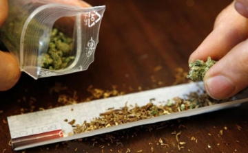 Cseh fiatalok a legnagyobb marihuána-fogyasztók Európában