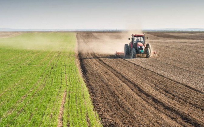 Takarékbank: további drágulásra számítanak az agrárium szereplői