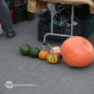 Vásárhelyi Ízök Fesztiválja