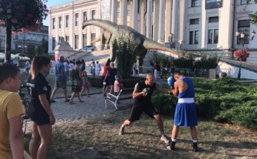 Arany és ezüstök a Boxing Gym Vásárhelynek