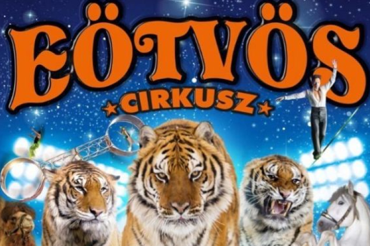 Eötvös cirkusz 2017! – Új Szuper produkció!!