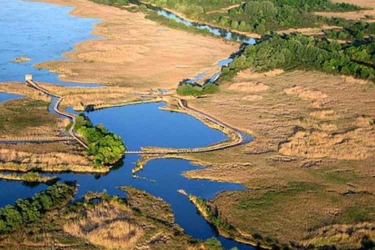 Nyári élményvonattal a Tisza-tóra