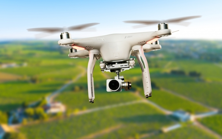 Idén először drón is segíti megyénkben a parlagfűvel szennyezett területek felderítését.