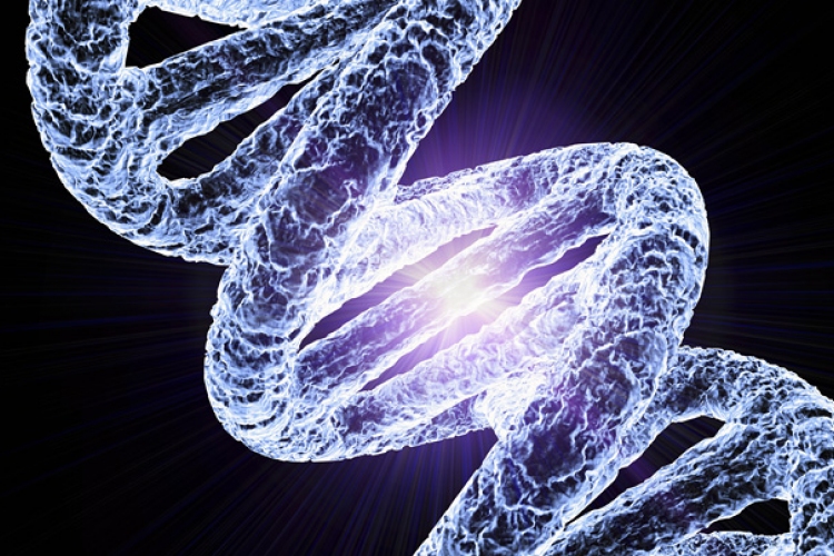 Az emberi genom idegen eredetű géneket is tartalmaz egy tanulmány szerint