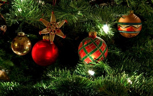 December 5-én felállítják a város karácsonyfáját